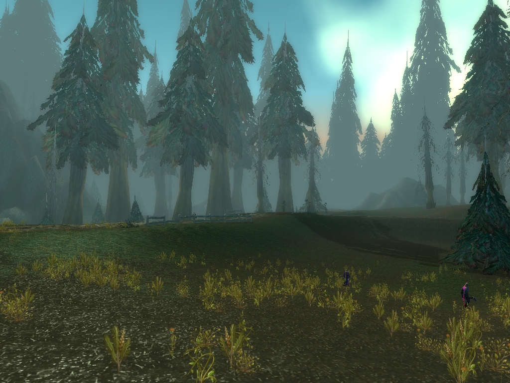 An in-game clearing in Silverpine Forest